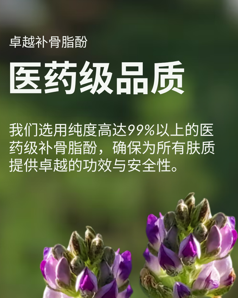 #show-lang-zh-cn #all-groups