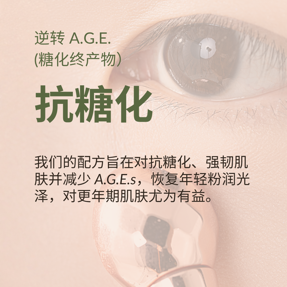 #show-lang-zh-cn #all-groups
